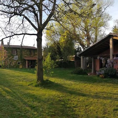 Agriturismo Il Palazzo Villa Бризигела Екстериор снимка