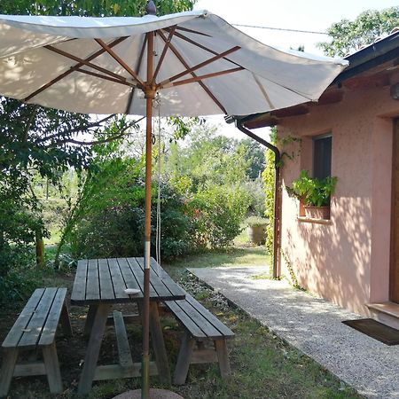 Agriturismo Il Palazzo Villa Бризигела Екстериор снимка