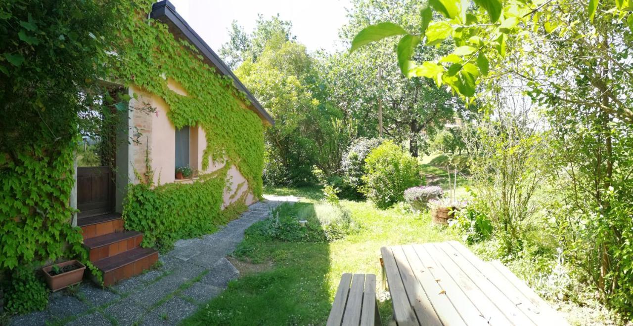 Agriturismo Il Palazzo Villa Бризигела Екстериор снимка