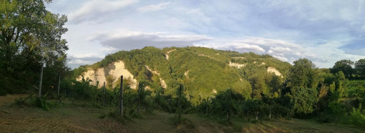 Agriturismo Il Palazzo Villa Бризигела Екстериор снимка