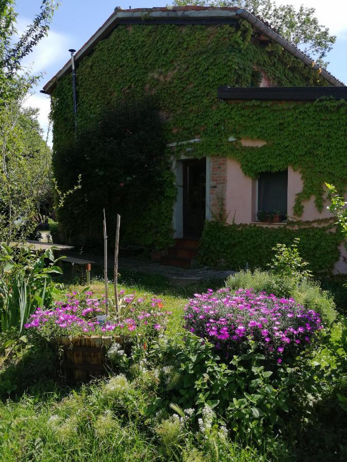 Agriturismo Il Palazzo Villa Бризигела Екстериор снимка