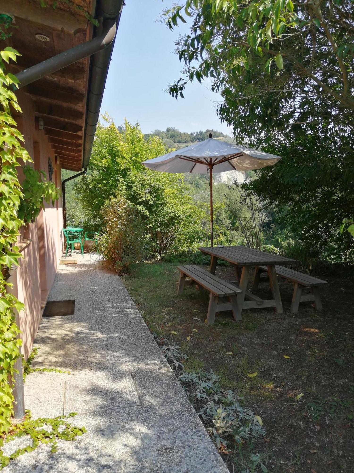 Agriturismo Il Palazzo Villa Бризигела Екстериор снимка